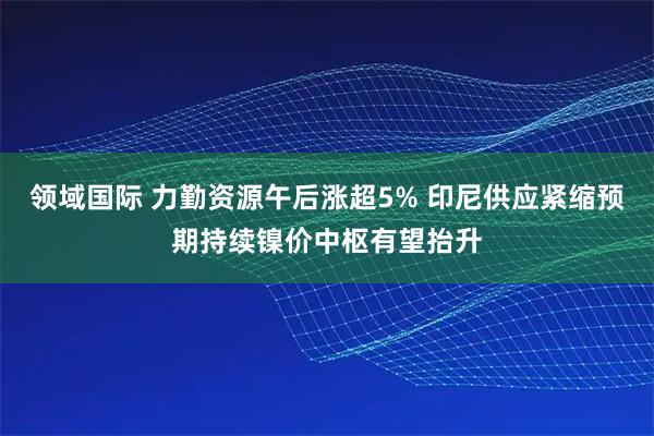 领域国际 力勤资源午后涨超5% 印尼供应紧缩预期持续镍价中枢有望抬升