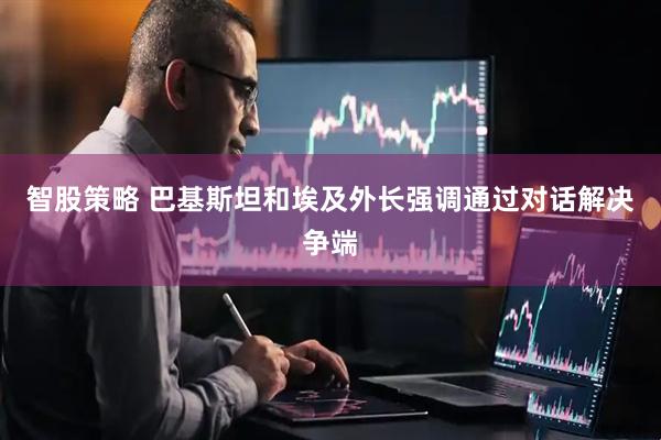 智股策略 巴基斯坦和埃及外长强调通过对话解决争端